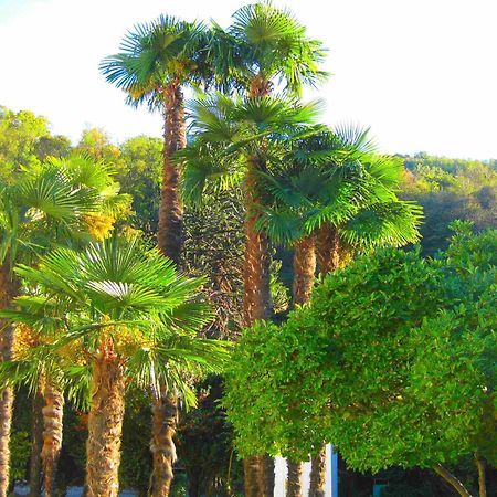 Villa Garni Gardenia カズラノ エクステリア 写真